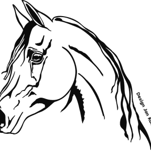 Motief Arabian (368x320 mm) antraciet incl. sierlijst