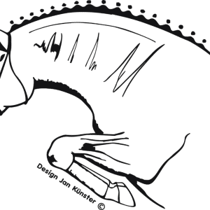 Motief springpaard (423x308 mm) antraciet incl. sierlijst