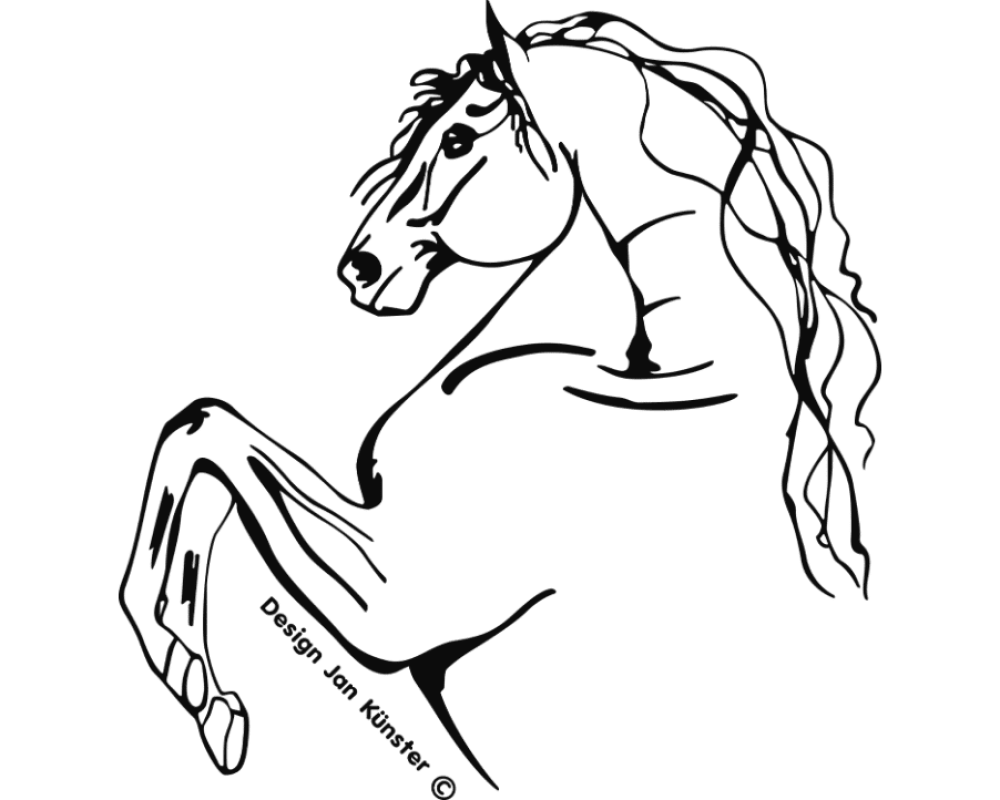 Motief Andalusier (311x330 mm) antraciet incl. sierlijst