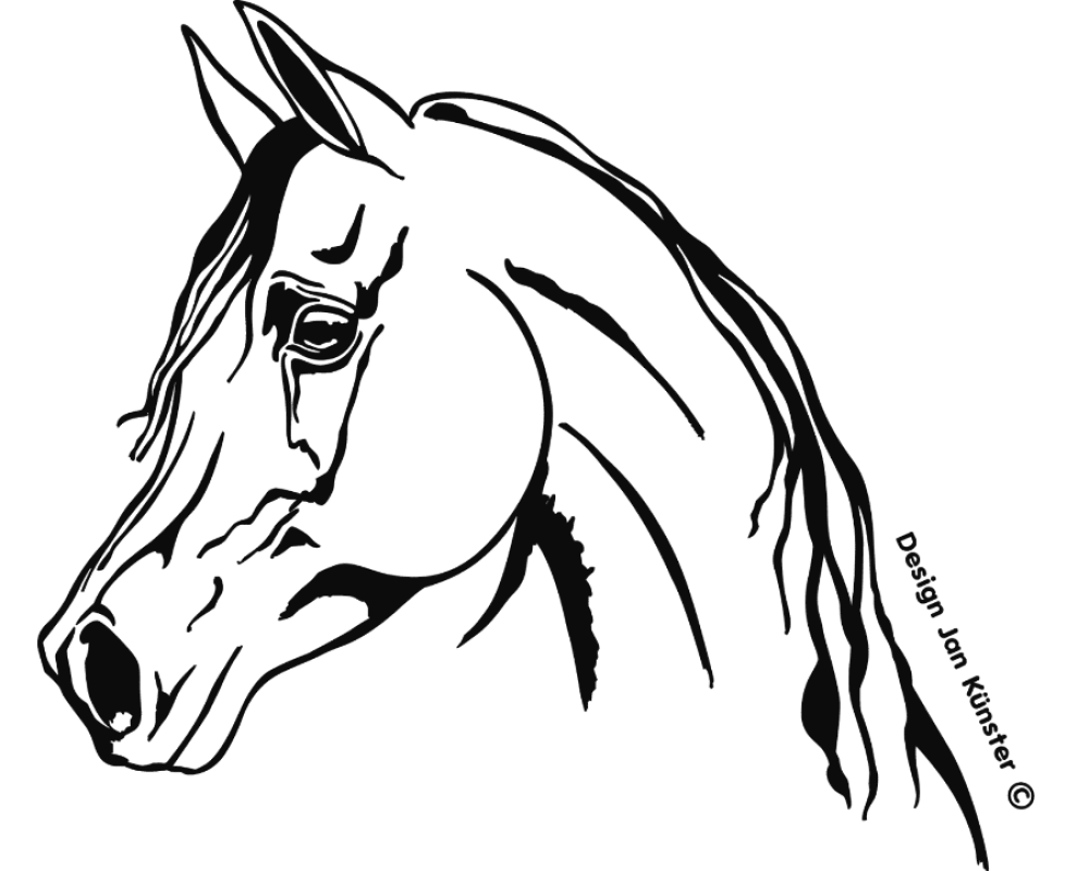 Motief Arabian (368x320 mm) antraciet incl. sierlijst