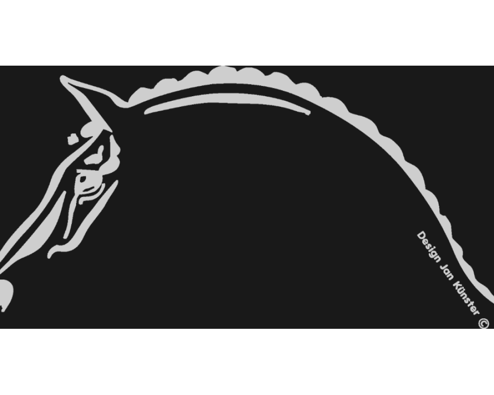 Motief paardenhoofd (1560x724 mm) zilver