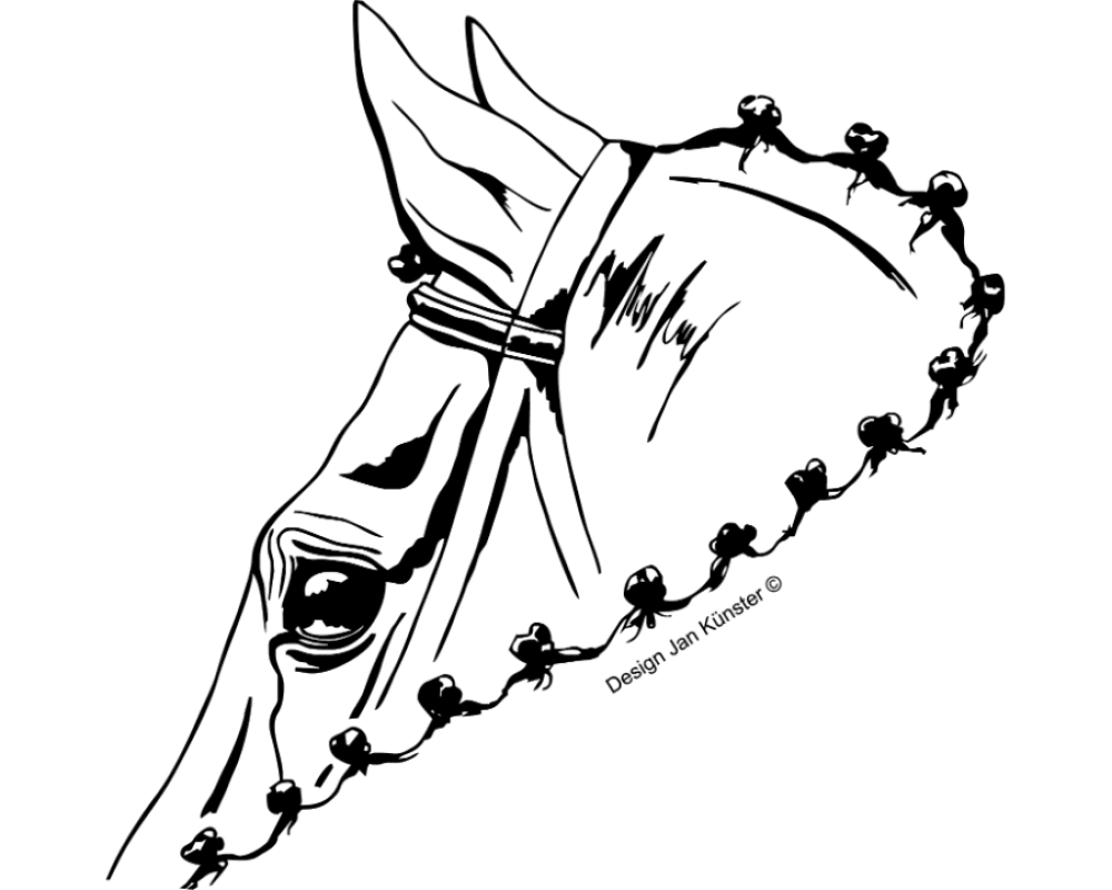 motief competitie antraciet