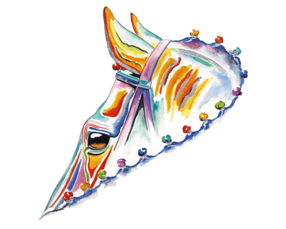 motief competitie meerkleurig