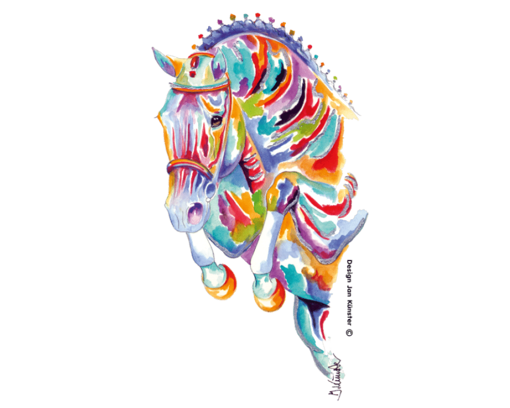 motief jumper meerkleurig