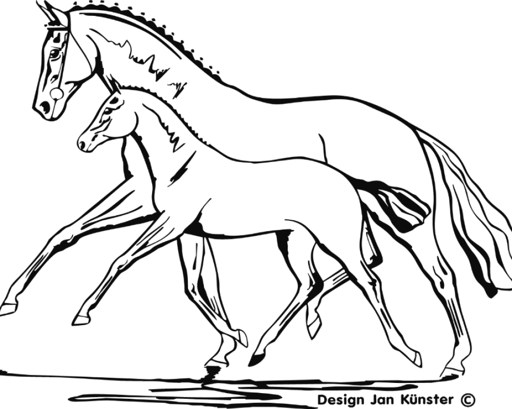 motief merrie met veulen